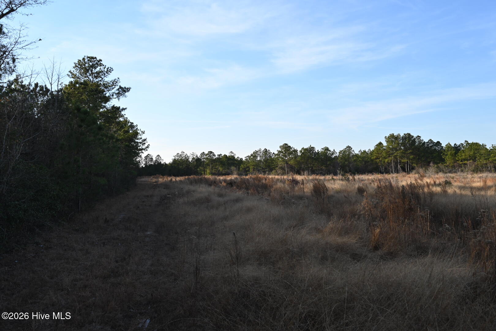 0 Rogers Mill Road Rose Hill, NC 28458 - Photo 42 of 62 DSC_1395