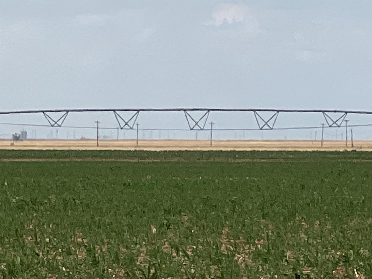 a swimming pool view
