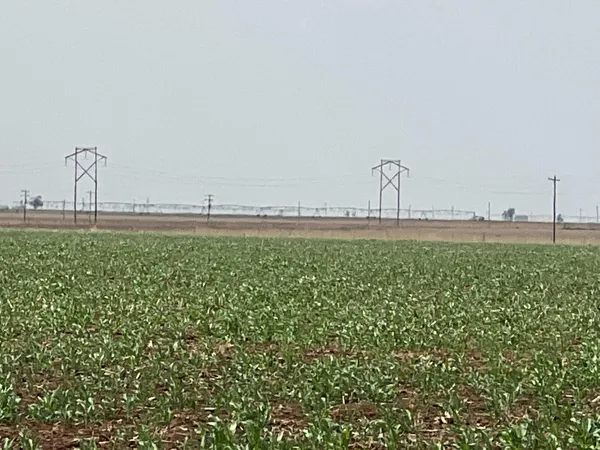 a bathroom with a bathtub and trees in the background