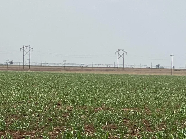 a bathroom with a bathtub and trees in the background