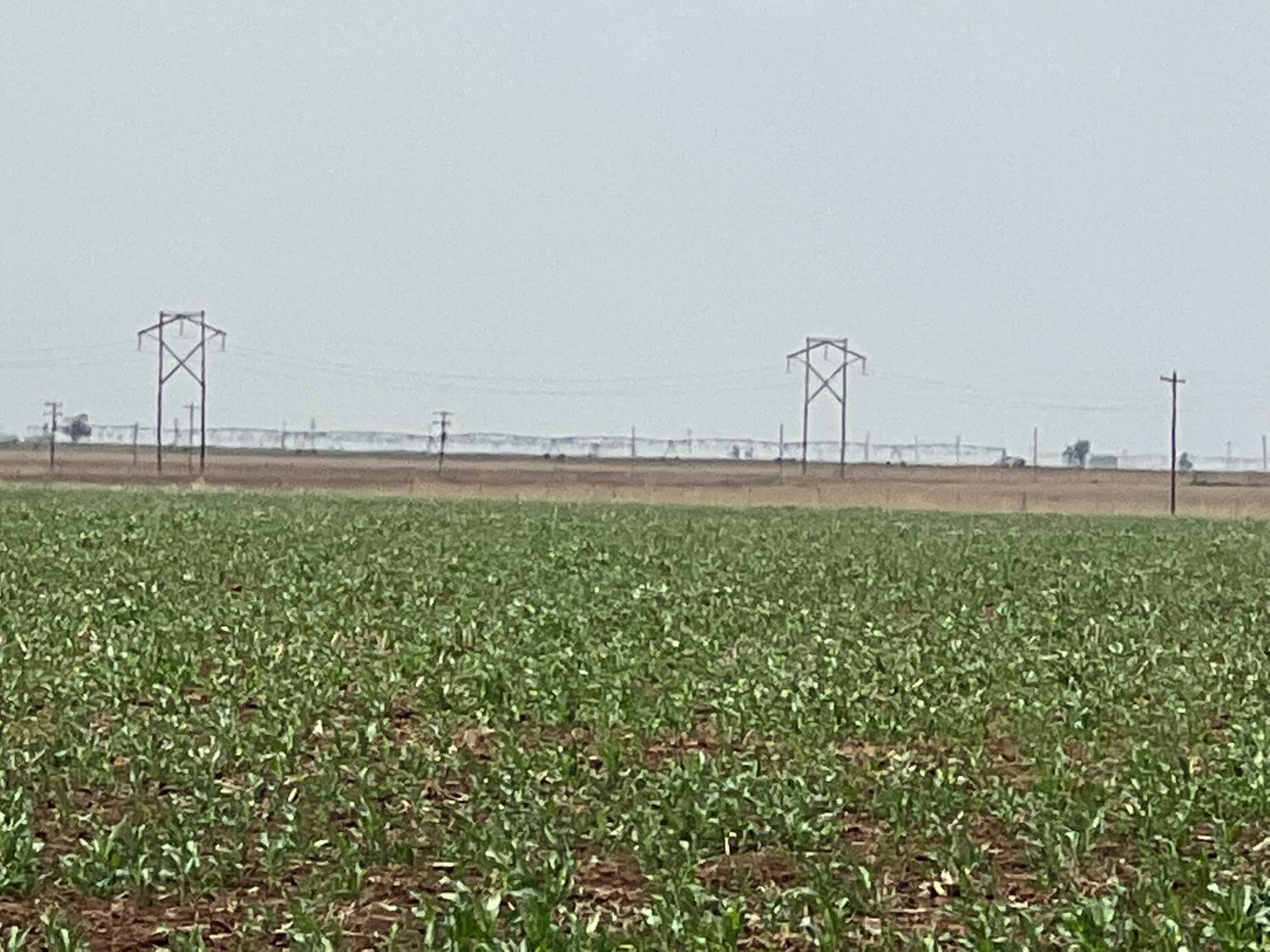 1711 Fm 194 Plainview, TX 79072 - Photo 4 of 6 a bathroom with a bathtub and trees in the background