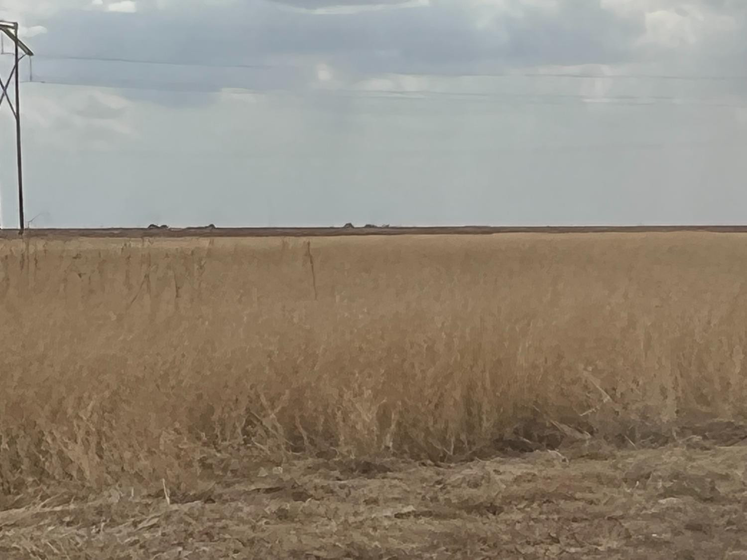 1711 Fm 194 Plainview, TX 79072 - Photo 6 of 6 a view of lake