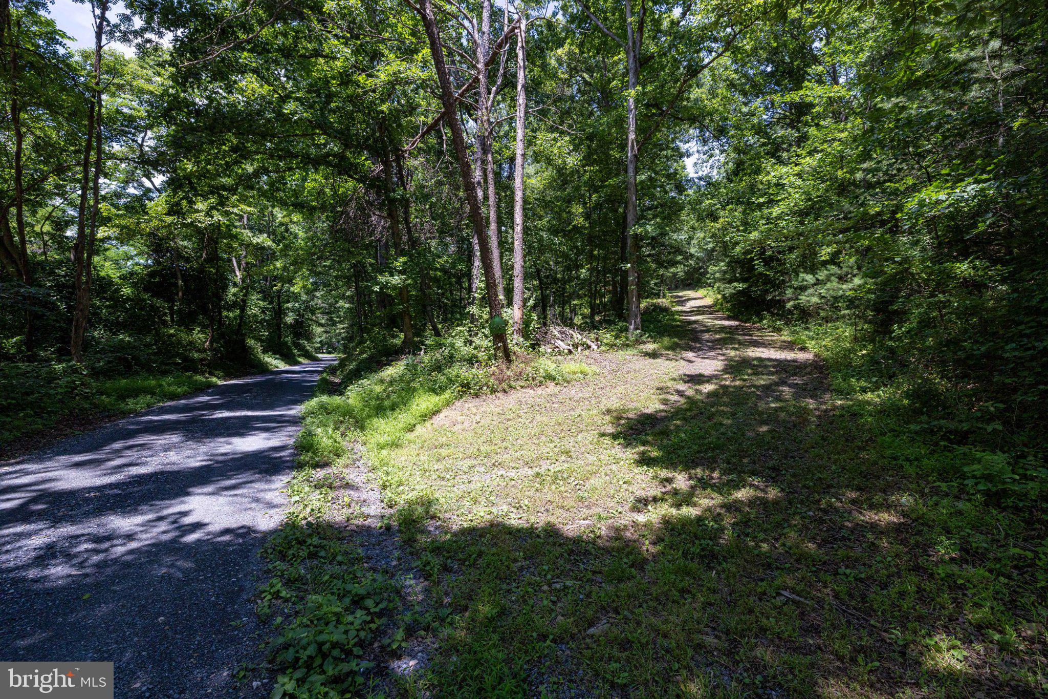 Lot 4 Somers Road Luray, VA 22835 - Photo 6 of 20 Paths Diverging in Lush Greenery