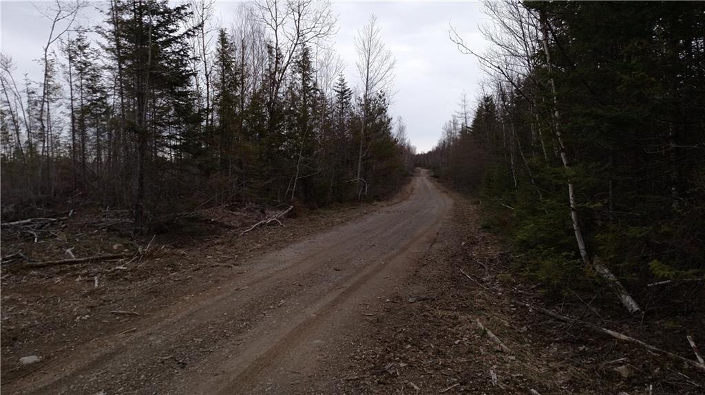 Lot #15 Prescott Brook Springfield, ME 04487 - Photo 2 of 8 Photo