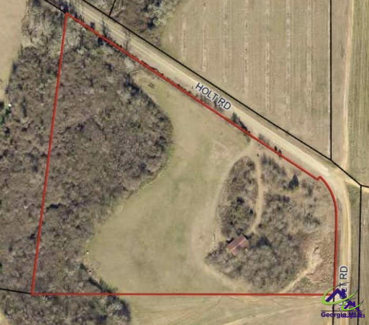222 Holt Road Hawkinsville, GA 31036 - Photo 9 of 10