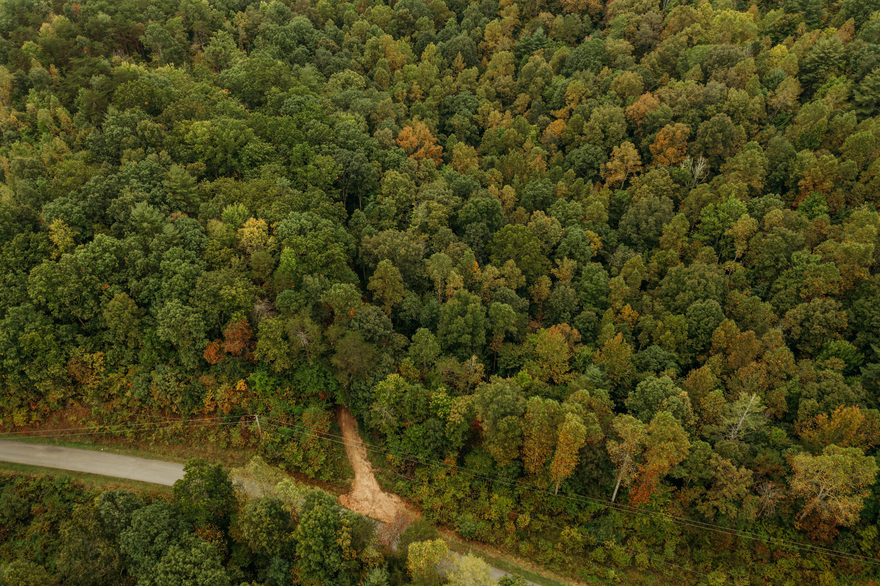 Lot 17 Holler Top Road Campton, KY 41301 - Photo 7 of 13 DJI_0147