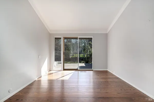 a view of a backyard with plants and a patio