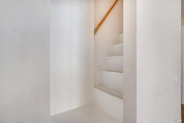 a view of a yard with trees