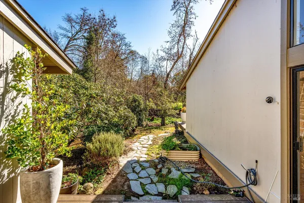 a view of a garden with an ocean space