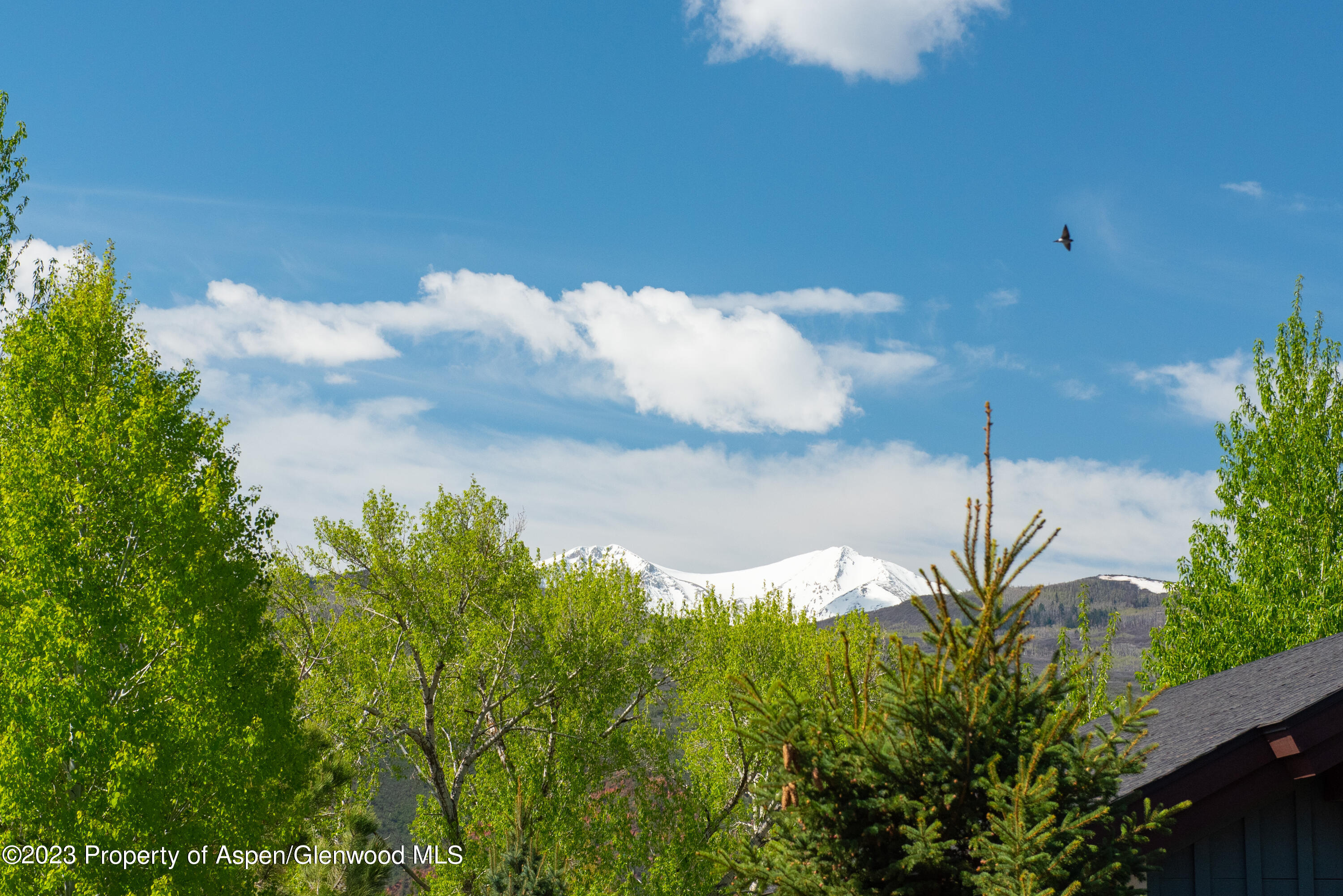 141 Juniper Trail Carbondale, CO 81623 - Photo 21 of 21