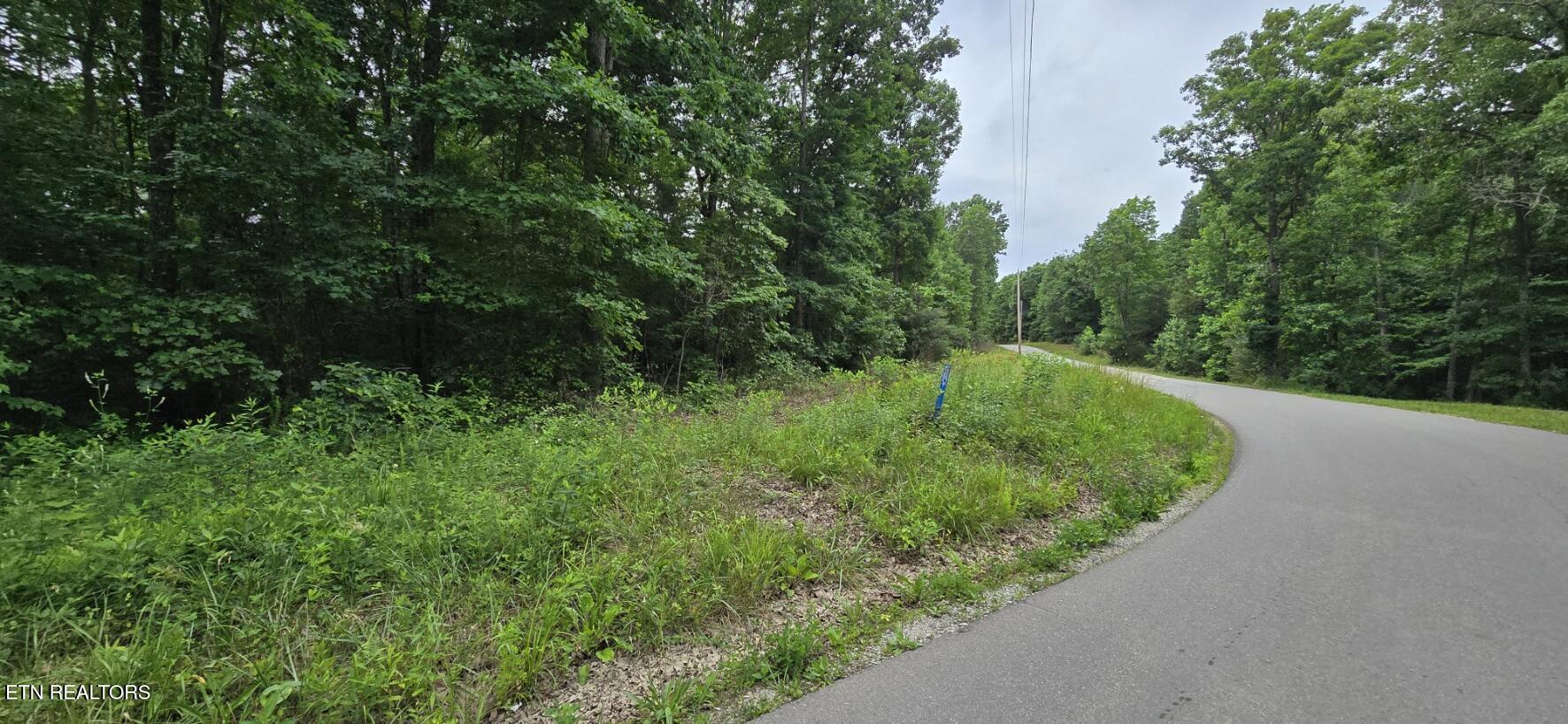 Lot 48-49 Bear Creek Road Oneida, TN 37841 - Photo 8 of 16 20260612_143331