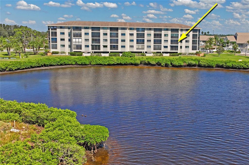 8251 Brent Street, Unit 922 Port Richey, FL 34668 - Photo 46 of 99 Gallery Image 46