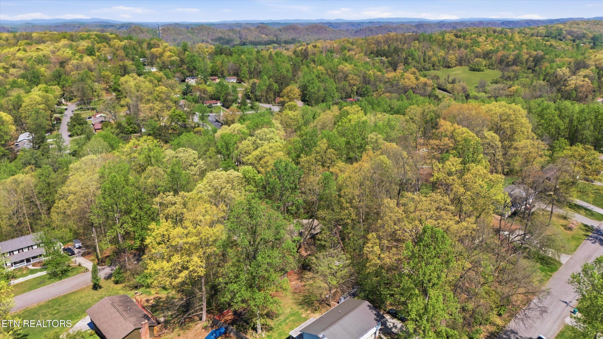 3308 Gumstand Drive Powell, TN 37849 - Photo 36 of 37