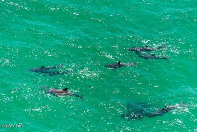 $389,000 | 16819 Front Beach Road, Unit 2106, Panama City Beach, FL 32413