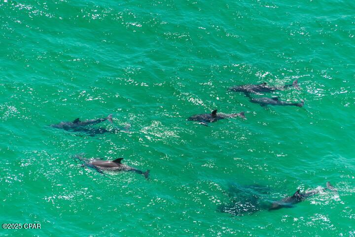 16819 Front Beach Road, Unit 2106 Panama City Beach, FL 32413 - Photo 29 of 32