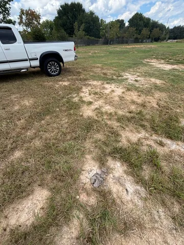 a view of a car in front of a house with trees