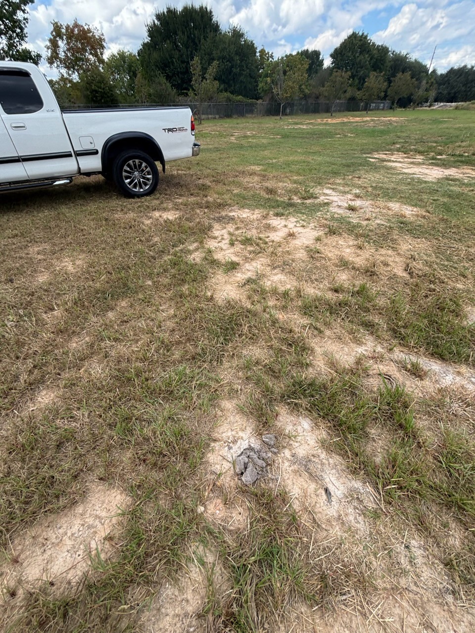 30611 Coco Street Cypress, TX 77433 - Photo 5 of 6 a view of a car in front of a house with trees
