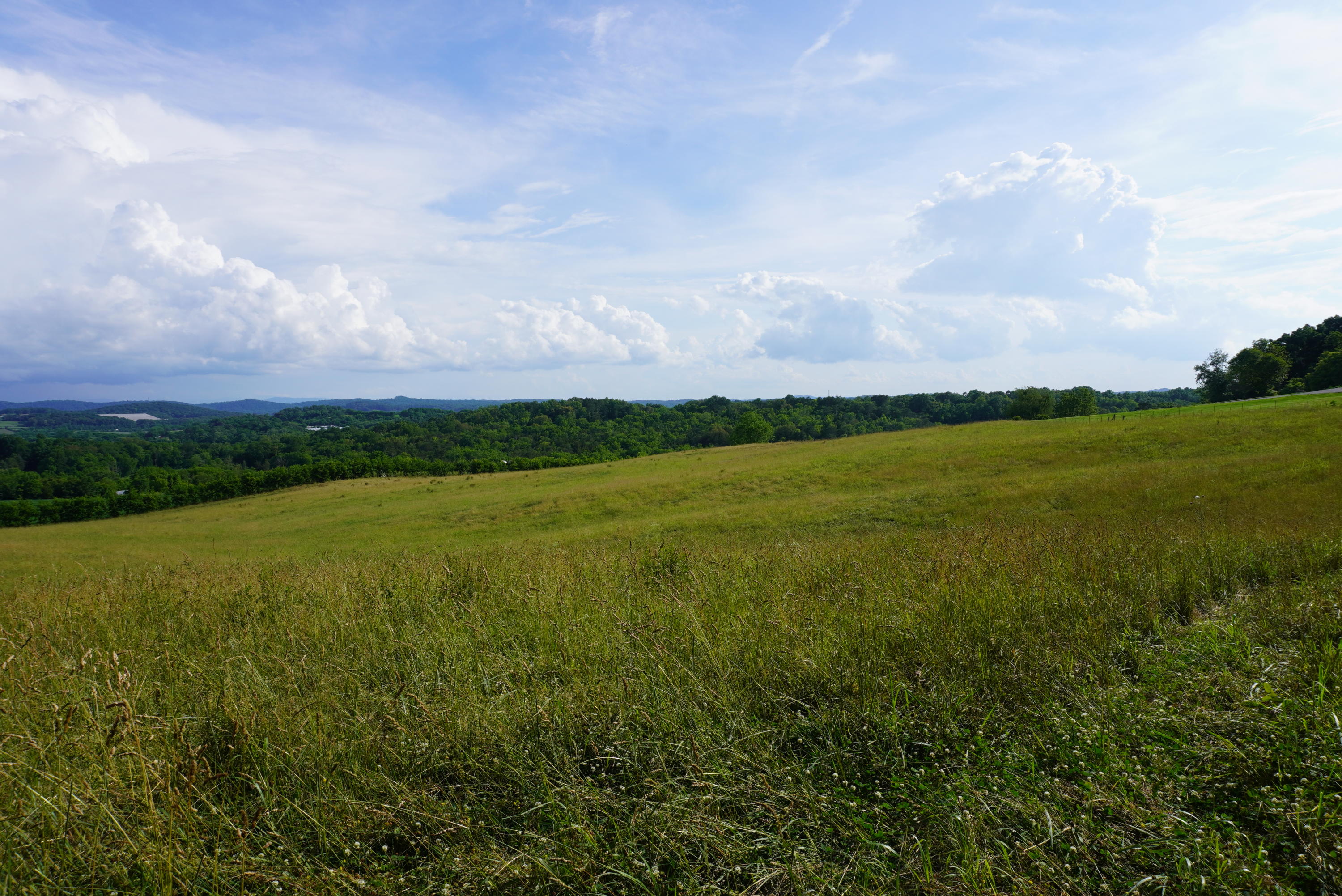 2 Burchell Road New Market, TN 37820 - Photo 1 of 17 primary burchell rd farm (11)