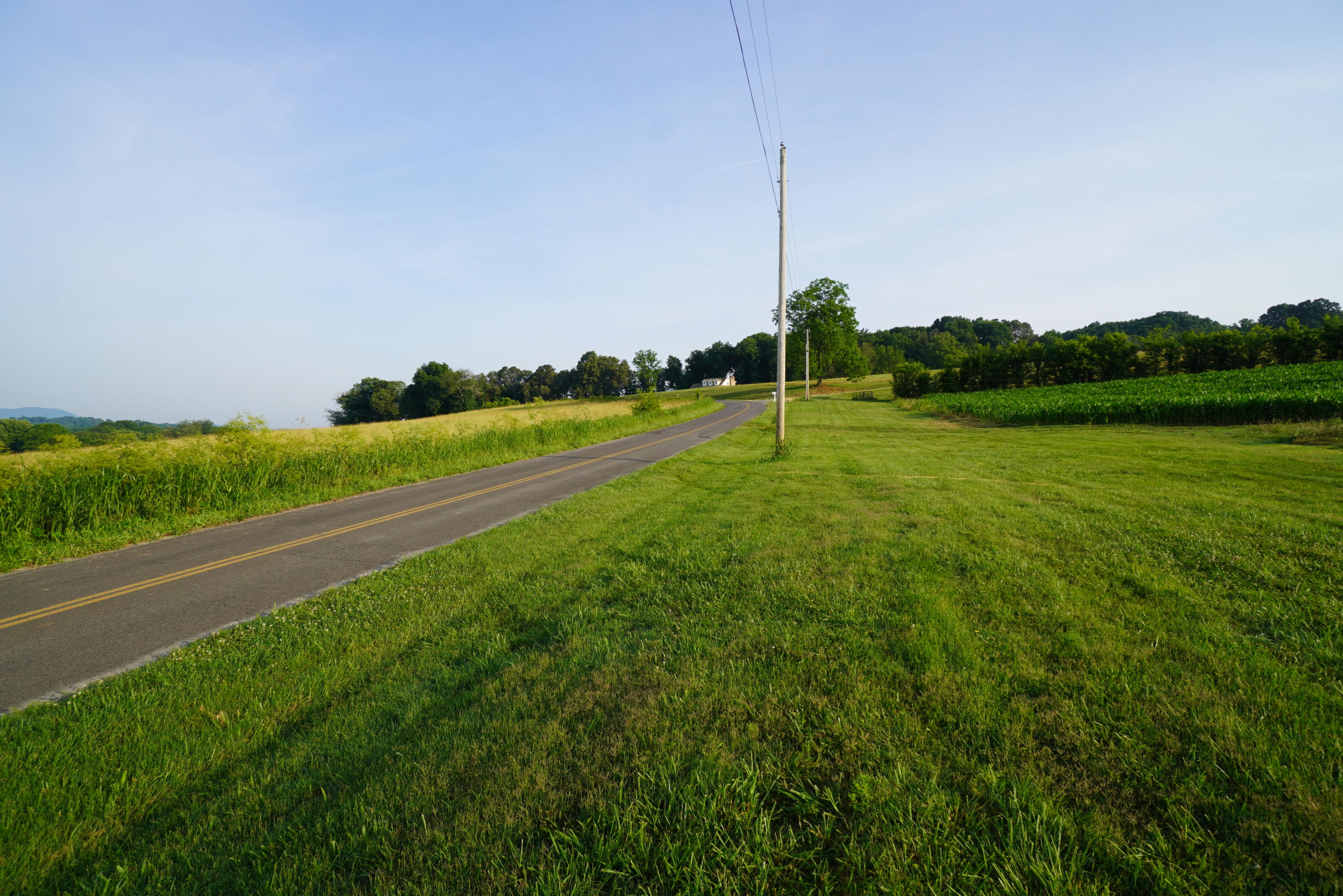 2 Burchell Road New Market, TN 37820 - Photo 15 of 17 burchell 6-19-21 (4)