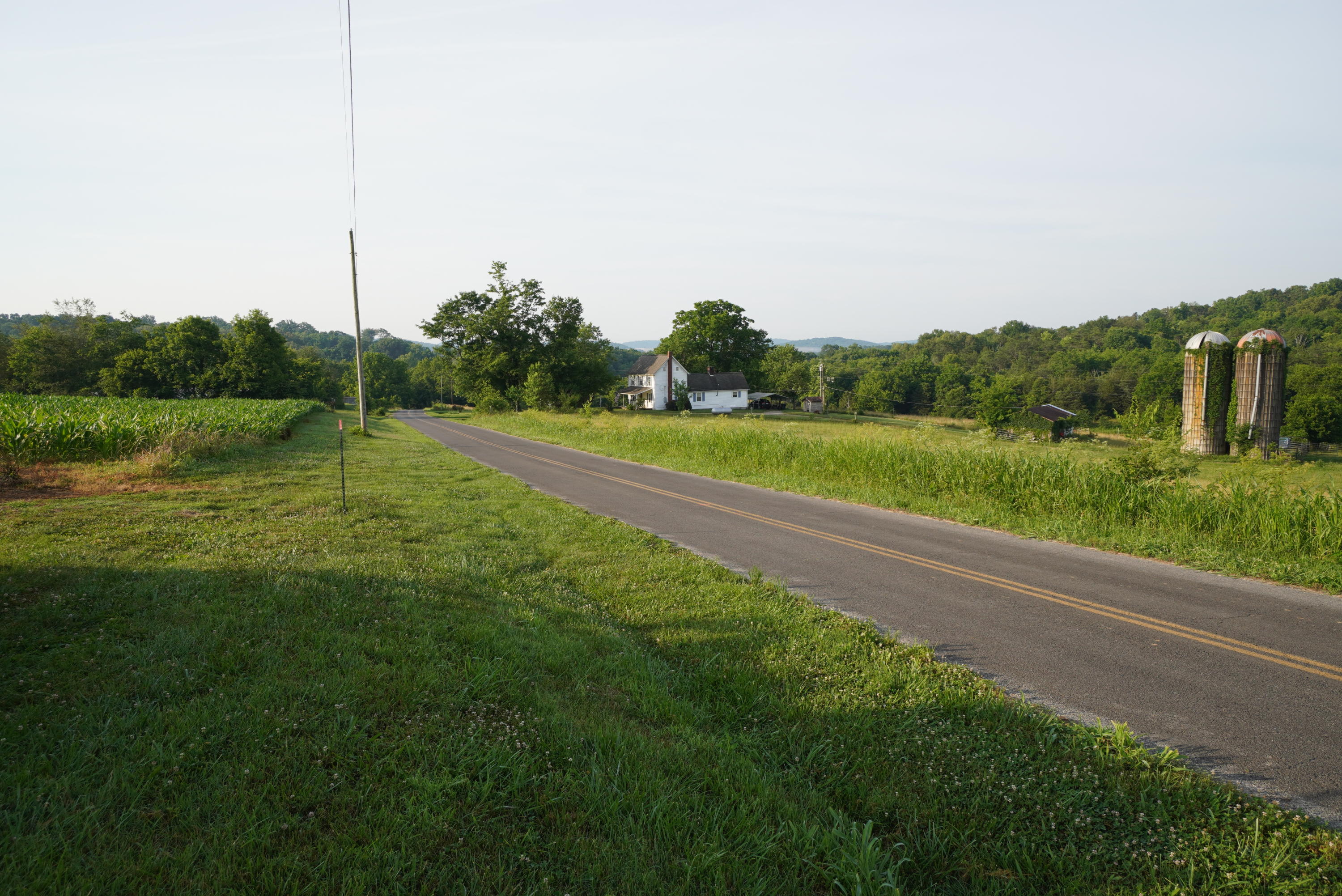 2 Burchell Road New Market, TN 37820 - Photo 16 of 17 burchell 6-19-21 (5)