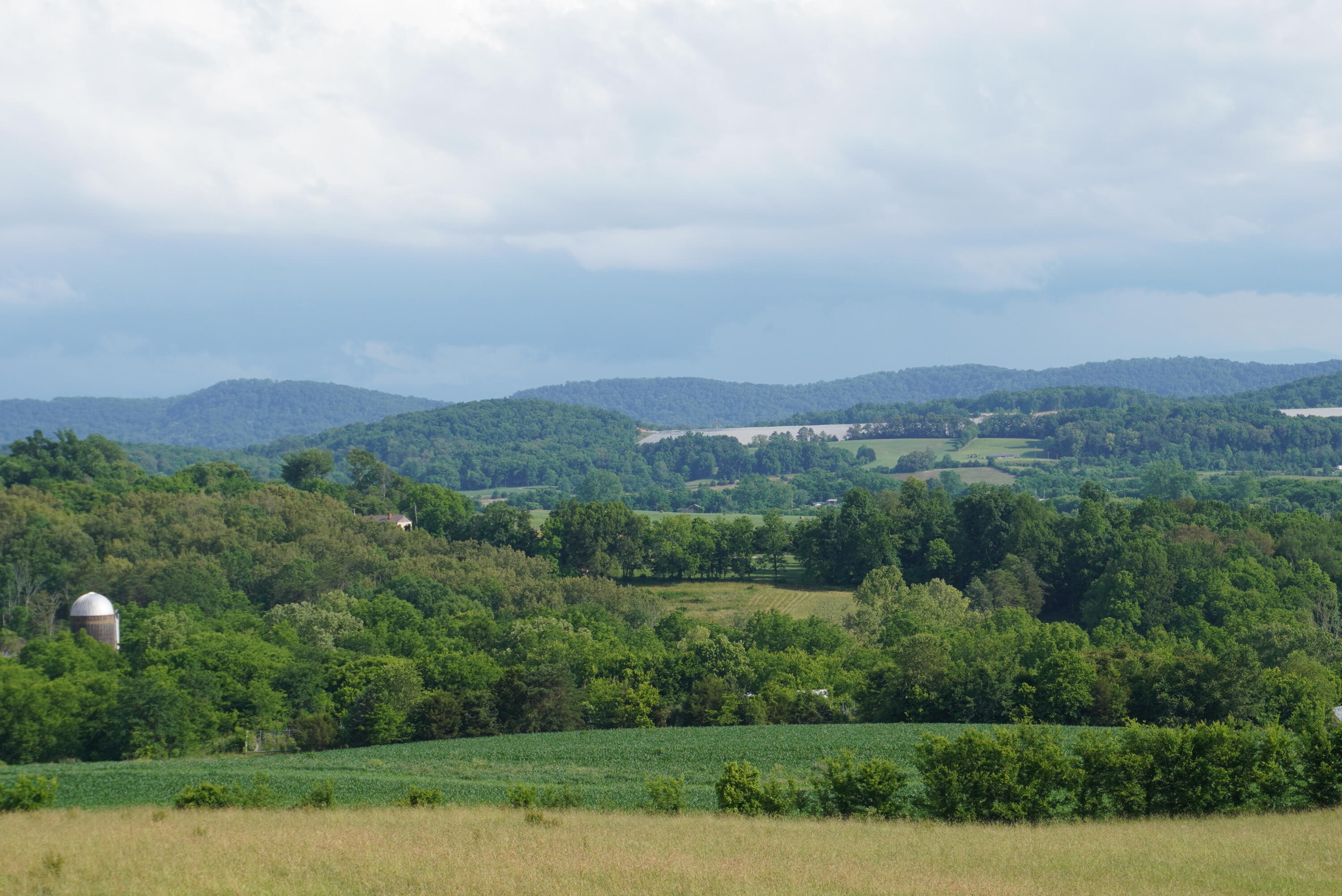 2 Burchell Road New Market, TN 37820 - Photo 4 of 17 burchell rd farm (3)
