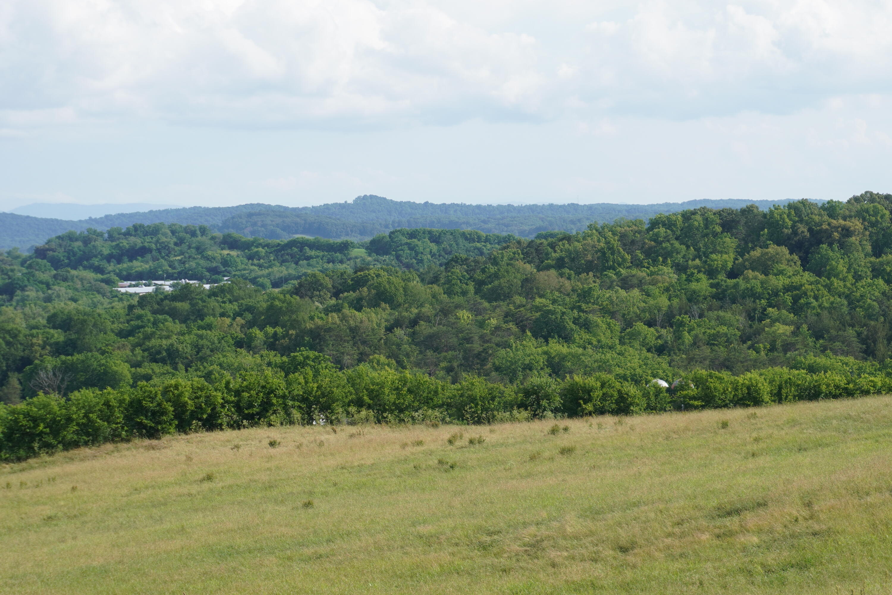 2 Burchell Road New Market, TN 37820 - Photo 5 of 17 burchell rd farm (4)