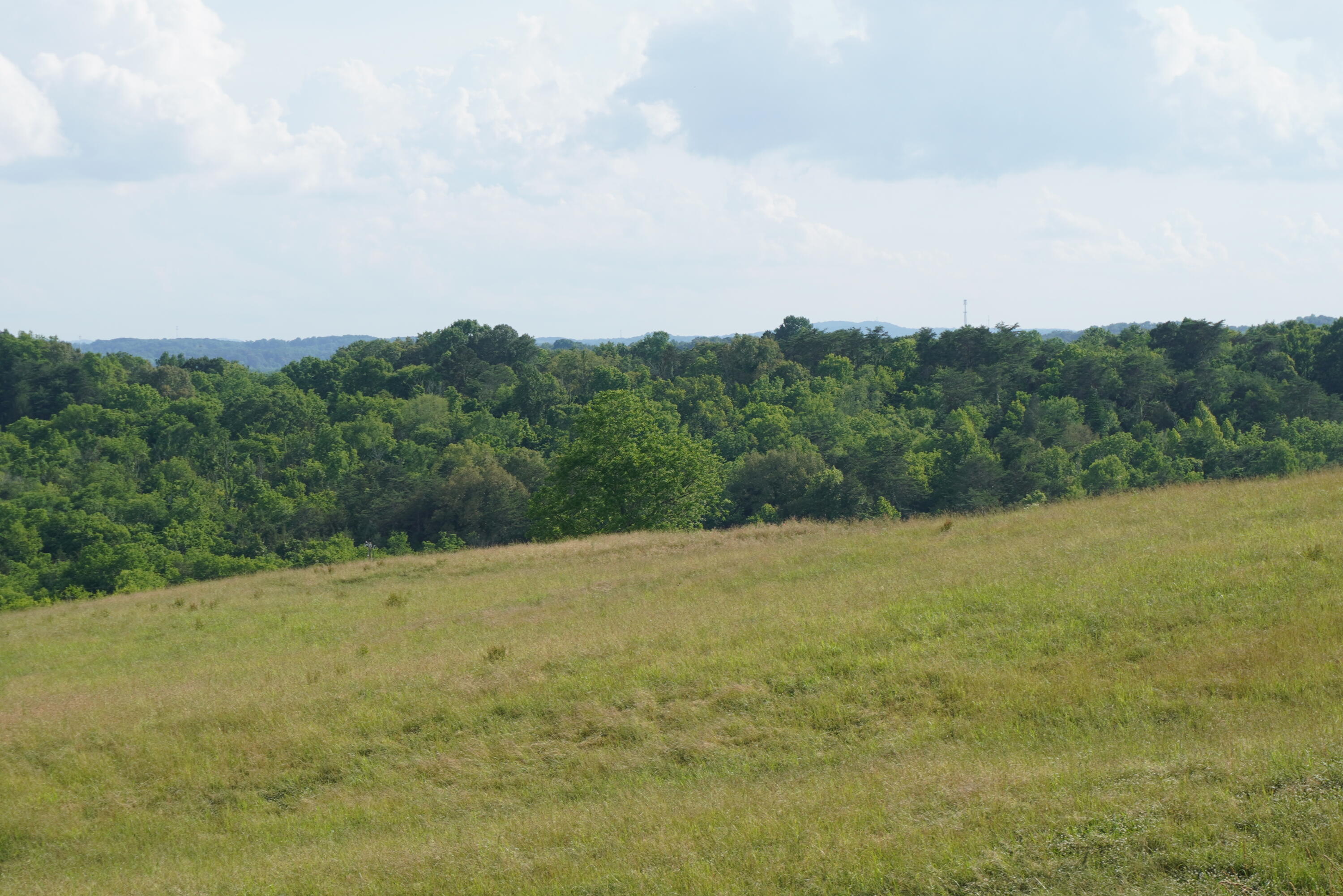 2 Burchell Road New Market, TN 37820 - Photo 6 of 17 burchell rd farm (5)