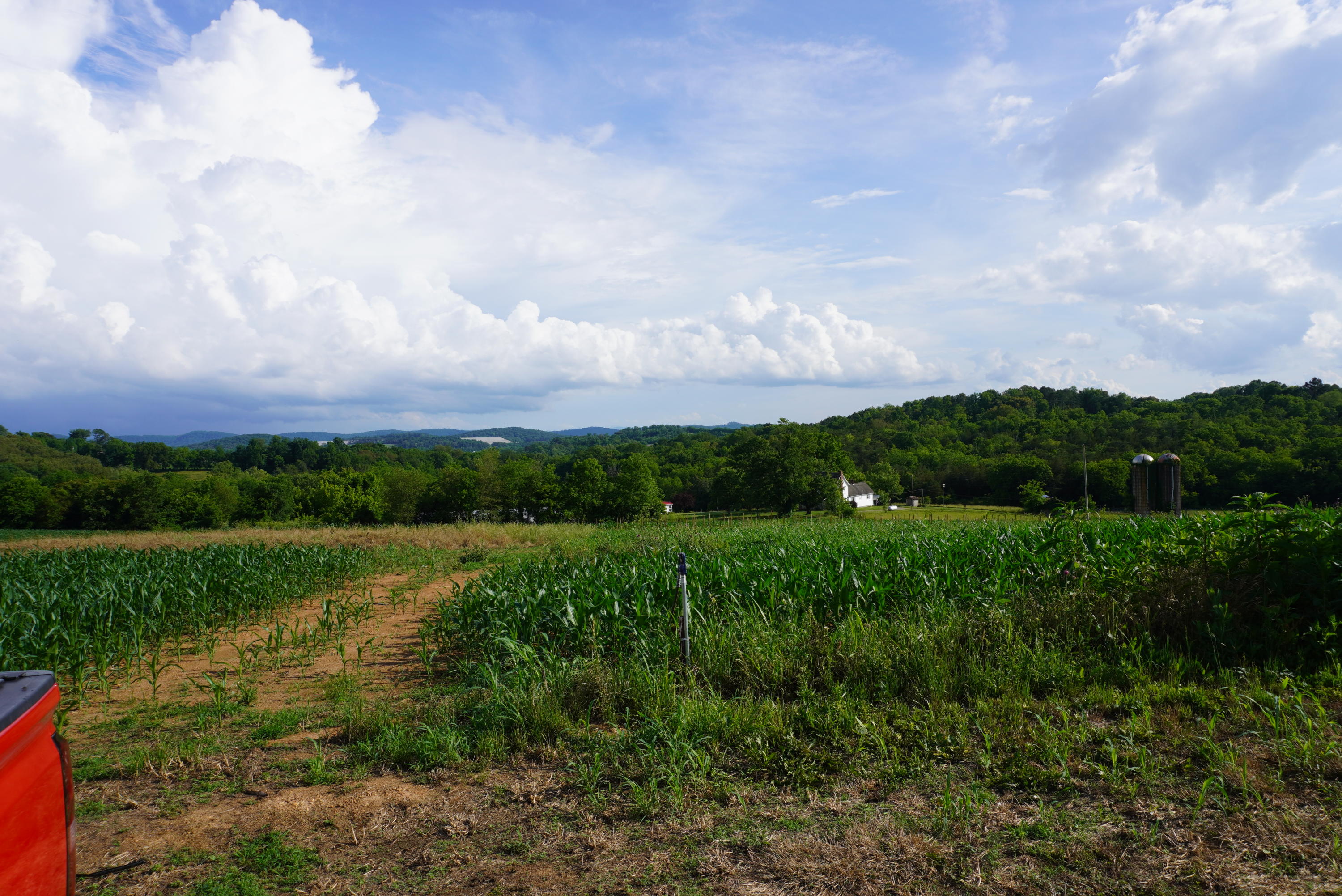 2 Burchell Road New Market, TN 37820 - Photo 10 of 17 burchell rd farm (9)