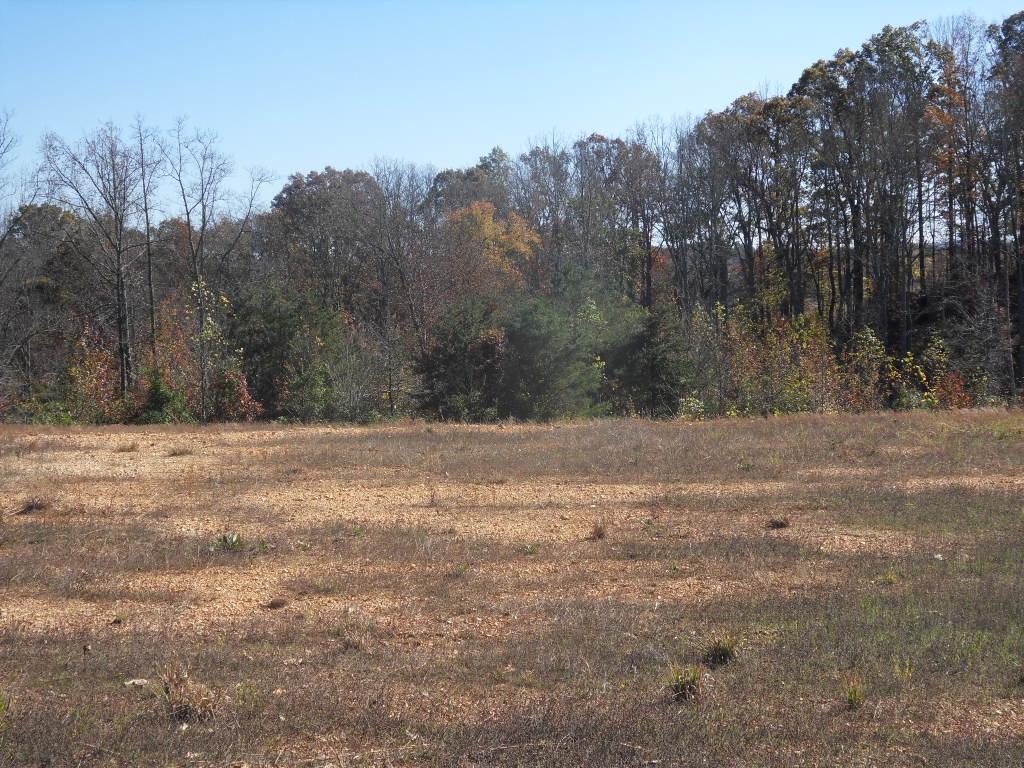 112 Sweetberry Street Oak Ridge, TN 37830 - Photo 14 of 39 SDC10741