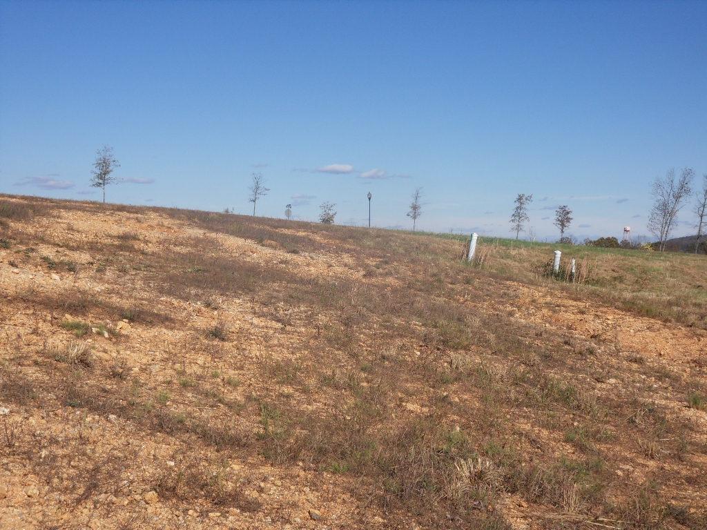 SDC10734