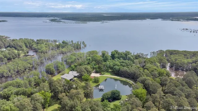 a view of pool with tree s