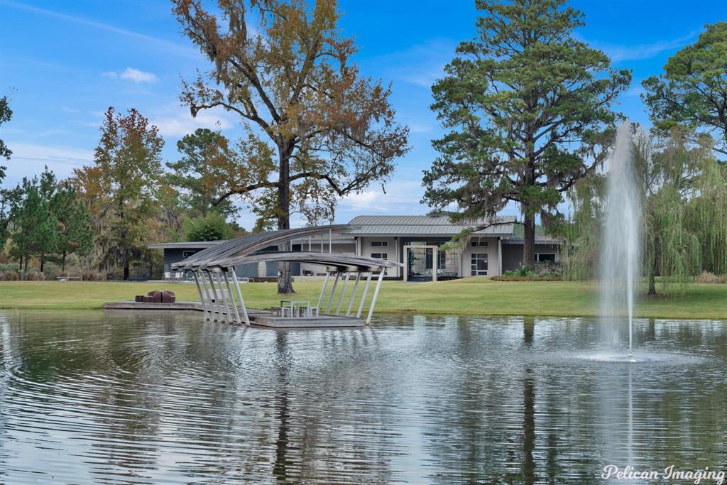 613 Moore Road Elm Grove, LA 71051 - Photo 2 of 40 a view of pool with tree s