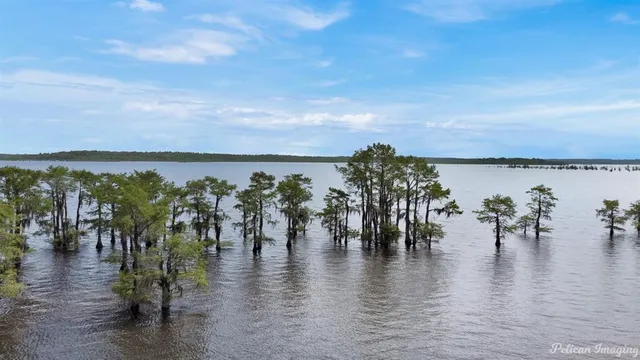 $3,995,000 | 613 Moore Road, Elm Grove, LA 71051