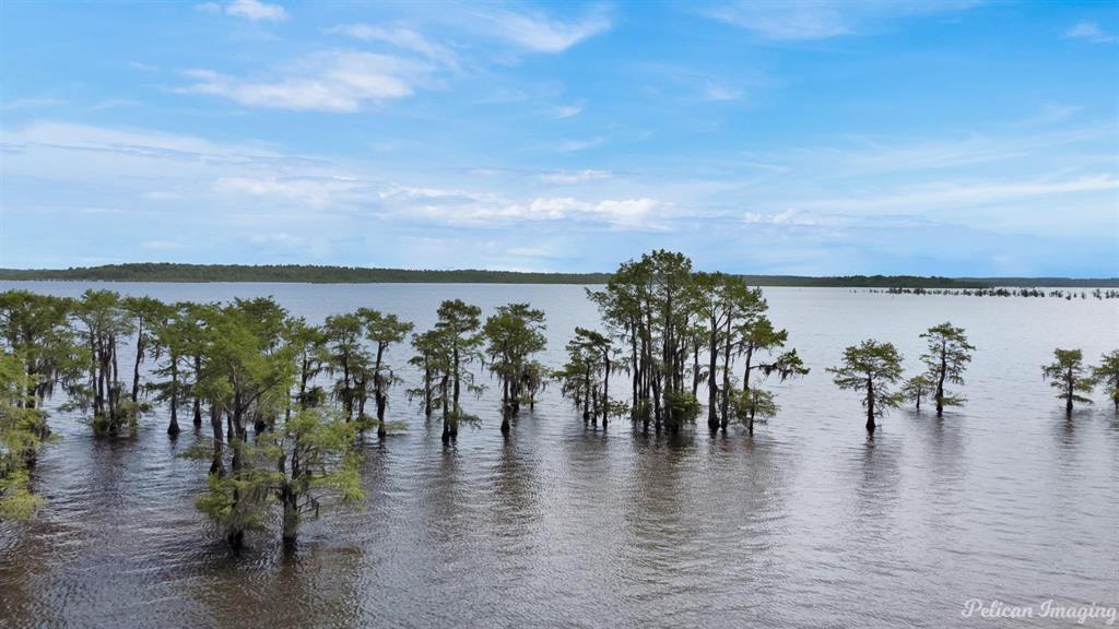 613 Moore Road Elm Grove, LA 71051 - Photo 36 of 40 Lake Bistineau is a 15,5000 acre recreational lake in south Bossier Parish in Northwest Louisiana just outside Shreveport/Bossier City, Louisiana.