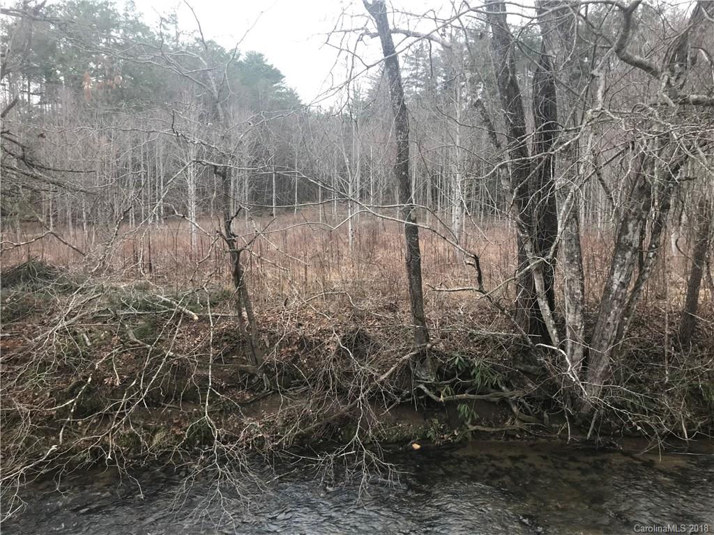 0 Williams Road Fletcher, NC 28732 - Photo 10 of 12 Gallery Image 10