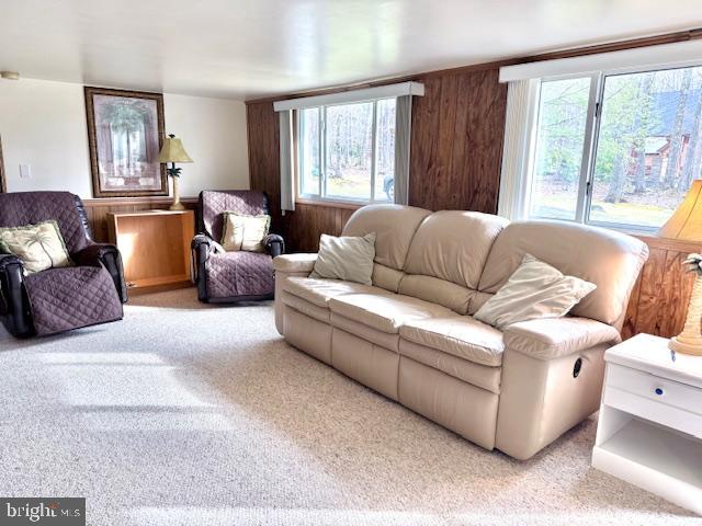 222 Skippers Point Road Oakland, MD 21550 - Photo 17 of 57 a living room with furniture and a large window