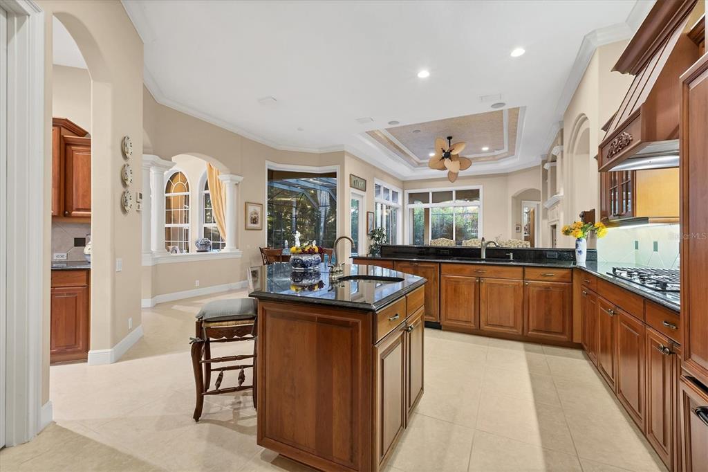 7815 Mathern Court Lakewood Ranch, FL 34202 - Photo 16 of 55 a kitchen with a stove top oven sink and cabinets