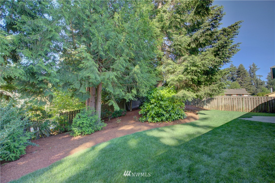 1820 Diamond Loop Southeast Lacey, WA 98503 - Photo 17 of 17 a view of yard with green space