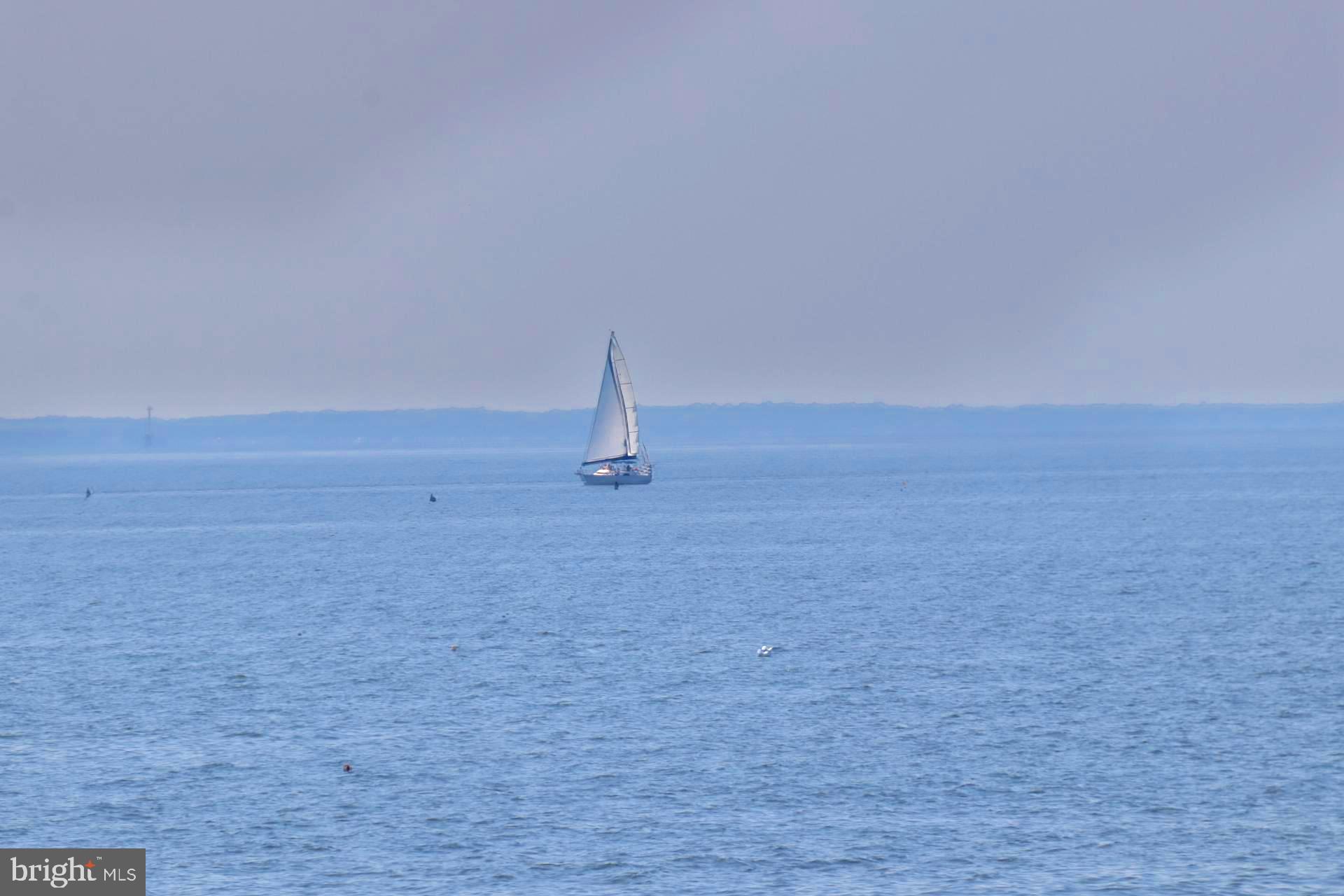 4898 Huntingfield Road Rock Hall, MD 21661 - Photo 9 of 9 Sailboat on The Bay