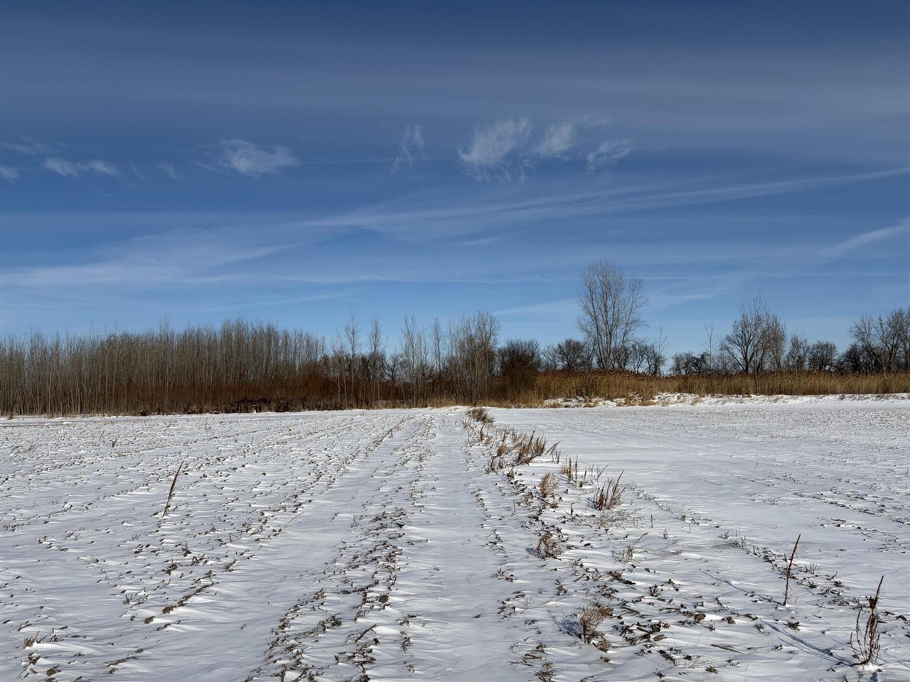 V/l Cade Road Capac, MI 48014 - Photo 29 of 51