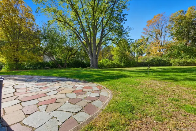 a view of a park with large trees