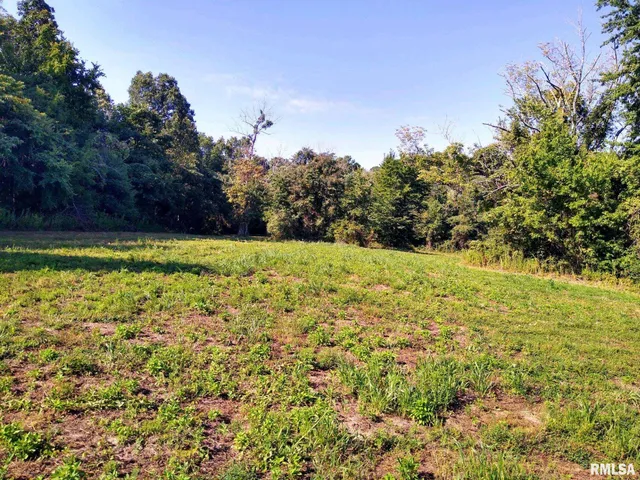 $359,000 | 39 Bushwack Road, Golconda, IL 62938