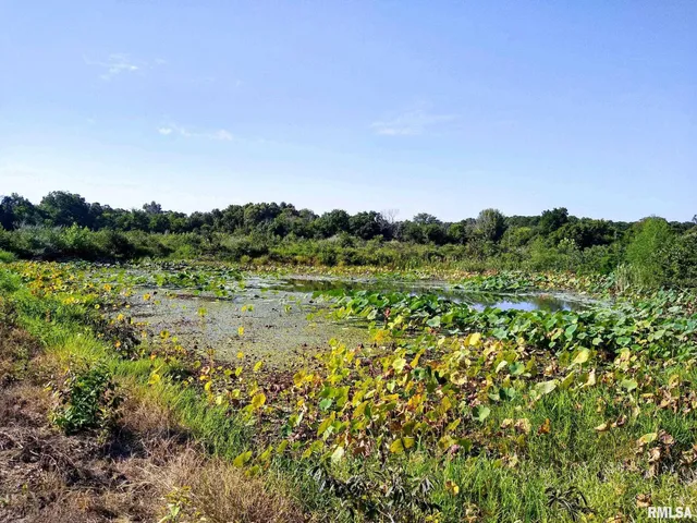 $359,000 | 39 Bushwack Road, Golconda, IL 62938