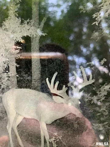 $359,000 | 39 Bushwack Road, Golconda, IL 62938