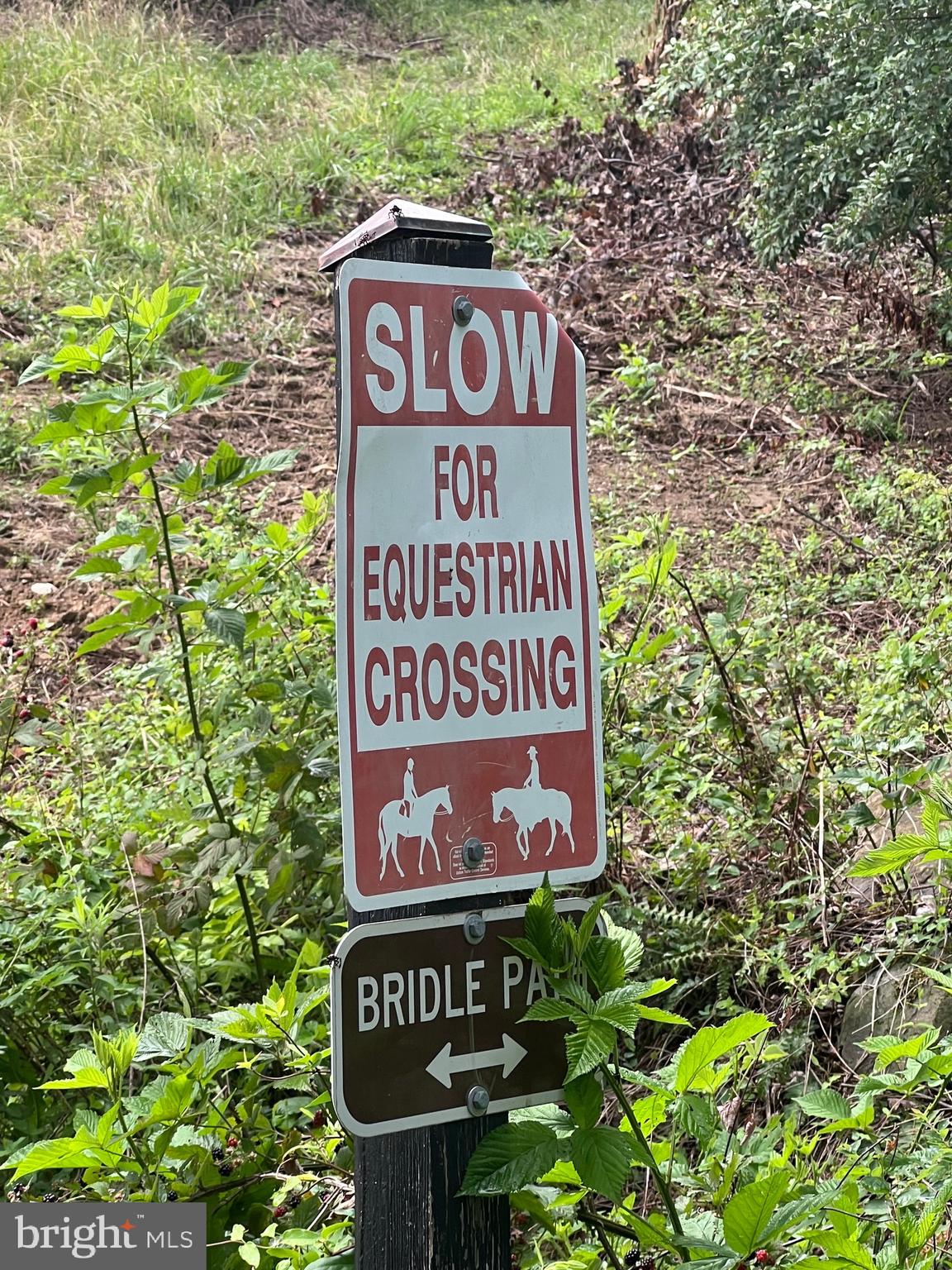 5377 Colt Drive Broad Run, VA 20137 - Photo 20 of 45 a sign broad