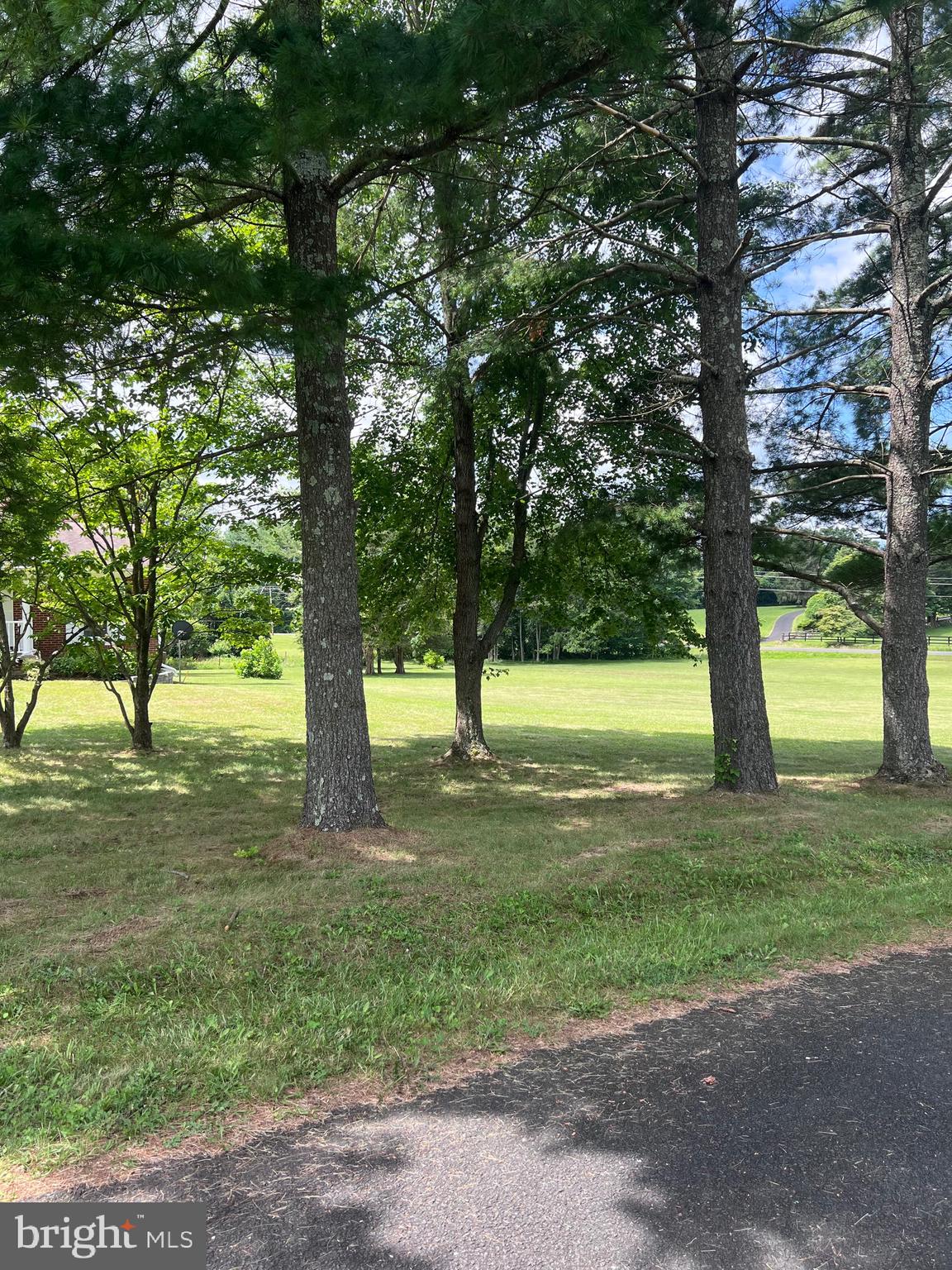 5377 Colt Drive Broad Run, VA 20137 - Photo 8 of 45 a view of a yard with a tree