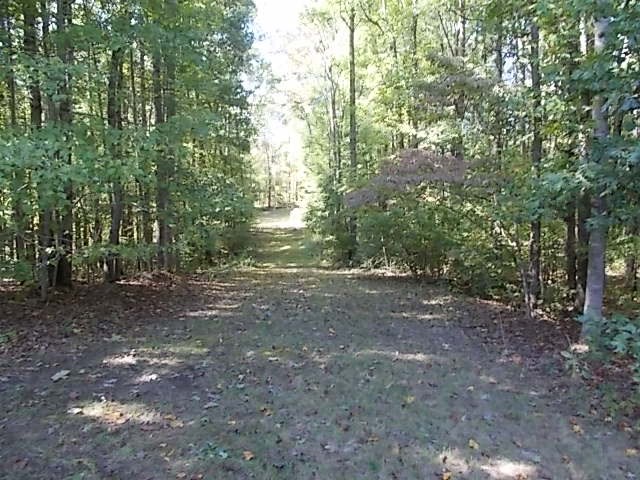 5516 Fredericks Hall Road Mineral, VA 23117 - Photo 22 of 23 Gallery Image 22