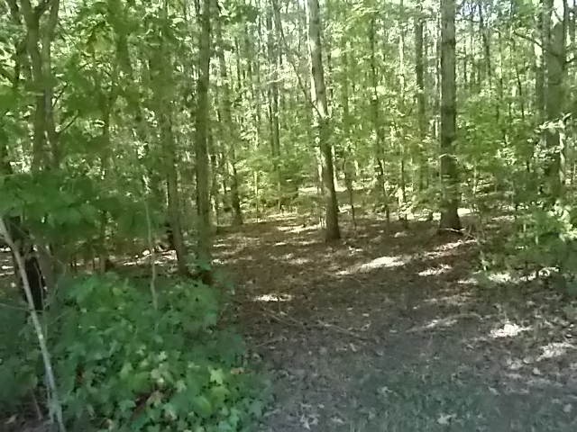 5516 Fredericks Hall Road Mineral, VA 23117 - Photo 23 of 23 Gallery Image 23