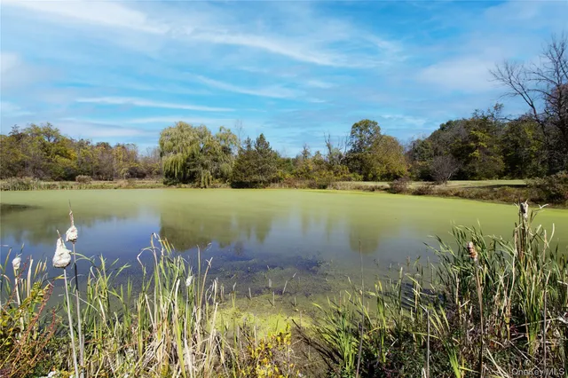 a view of a town with large trees
