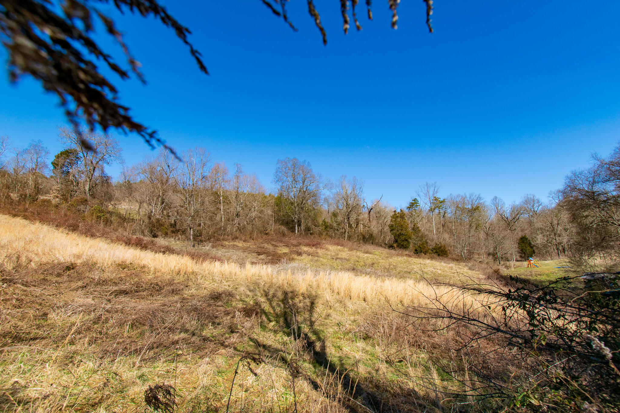 Sallings Road Luttrell, TN 37779 - Photo 1 of 11 DSC_0598